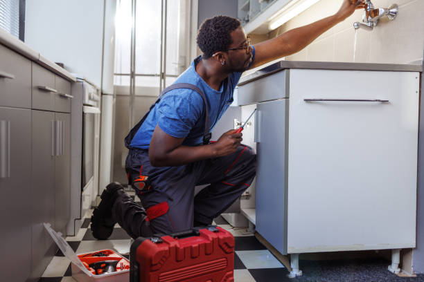 Best Local Plumber Services  in South Miami Heights, FL